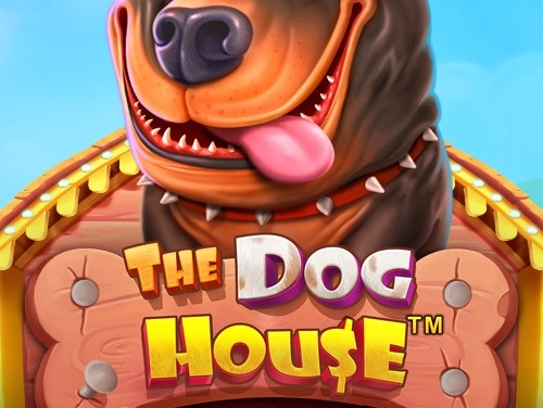 0965003767943-doghouse-16856272556922.jpg