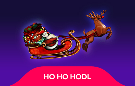 5913-ho-ho-hodl-16988278234081.jpg