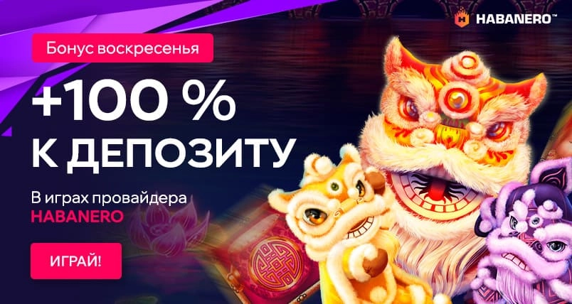 7954-804х428-17255387131554.jpg
