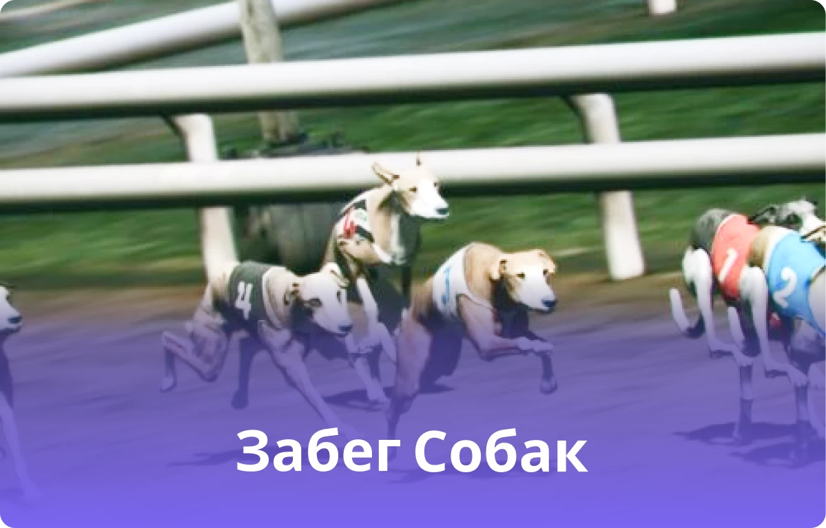975-group-9086.png